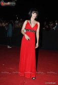 Dia Mirza, Koina Mitra, Minissha Lamba and Lots More Celebs at Star Screen Awards red carpet - inditop.com 9