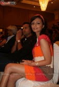 Dia Mirza, Roshini Chopra at Peace for India concert organised by ITA, Percept and Star Plus 3