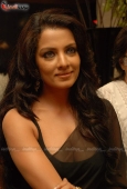 Hot Celina Jaitley at the launch of Accident on Hill Road 2