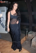 Hot Celina Jaitley at the launch of Accident on Hill Road 8