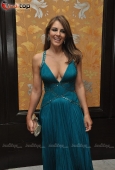 Hot Liz Hurley graces ROyal Rajasthan Gala Charity Dinner - inditop.com12