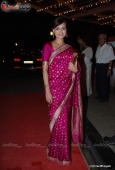 Hrithik, Soha Ali khan, Dia Mirza, Akshay, Shahid at DR PK Aggarwal daughter wedding - inditop.com 10