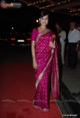 Hrithik, Soha Ali khan, Dia Mirza, Akshay, Shahid at DR PK Aggarwal daughter wedding - inditop.com 9