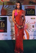 Kareena, Bipasha, Dia, Lara and Lots Other Celebs at IIFA red carpet - inditop.com2