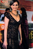 Kareena, Bipasha, Dia, Lara and Lots Other Celebs at IIFA red carpet - inditop.com6