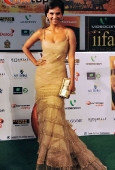 Kareena, Bipasha, Dia, Lara and Lots Other Celebs at IIFA red carpet - inditop.com7