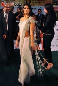 Kareena, Bipasha, Dia, Lara and Lots Other Celebs at IIFA red carpet - inditop.com9