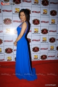 Lara Dutta, Asin, Tanushree, Mugdha, Koina Mitra, Dia Mirza and lots more celebs at Star Dust Awards - inditop.com 31