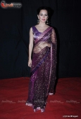 Lara Dutta, Asin, Tanushree, Mugdha, Koina Mitra, Dia Mirza and lots more celebs at Star Dust Awards - inditop.com 75