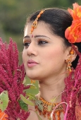 Photoshoot of Telugu Heroine Tapasee - inditop.com22