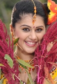 Photoshoot of Telugu Heroine Tapasee - inditop.com23