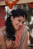 Photoshoot of Telugu Heroine Tapasee - inditop.com3