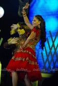 SRK, Rani, Bipasha perform at a wedding unseen exclusive pics  21