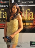 Salman Khan, Lara Dutta, Dia Mirza and Other Celebs Rocks on Day 1 of the  IIFA Awards - inditop.com12