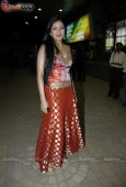 Shruti Hassan, Hazel and lots of other babes at Siddharth special screening of film Striker - inditop.com 13