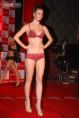 Triumph Lingerie awards with Aditi Gowitrikar and other models 23