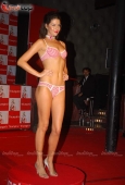 Triumph Lingerie awards with Aditi Gowitrikar and other models 3